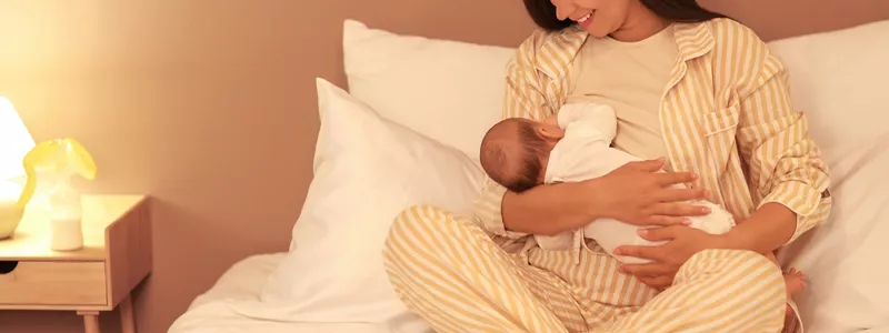 Emziren Anneler İçin Süt Artırıcı Besinler Nelerdir?